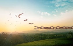 Free Bird Flying And Broken Chains Royalty Free Stock Photography - 204252307