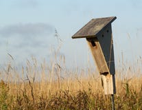 Bird House Stock Images