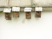 Bird Houses Stock Images