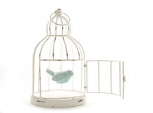 Bird In Cage Stock Photo
