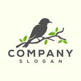 Bird logo design ready to use for your company stock illustration Bird logo design ready to use for your company stock illustration
