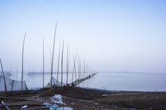 Bird nature reserve in anhui shengjinhu lake in winter fog