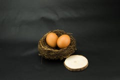 Birds nest, egg, the log block stock photography Birds nest, egg, the log block stock photography