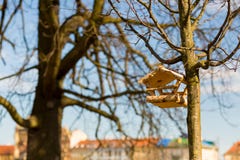 Birdhouse built of small birch logs hanging royalty free stock photos Birdhouse built of small birch logs hanging royalty free stock photos