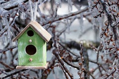 Birdhouse hanging on ice covered tree branches royalty free stock photo Birdhouse hanging on ice covered tree branches royalty free stock photo