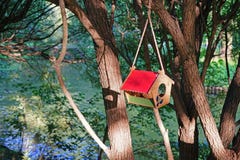 Birdhouse с красной крышей вися на дереве около реки стоковое фото rf Birdhouse с красной крышей вися на дереве около реки стоковое фото rf