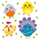 Birds Birds