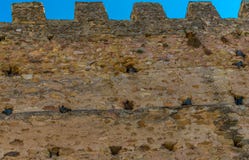 Birds nest on the Old Town walls of Segovia stock photography Birds nest on the Old Town walls of Segovia stock photography
