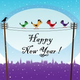 Birds Waiting The New Year Stock Images