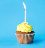 Birthday cupcake with one burning candle Stock Photo Birthday cupcake with one burning candle Stock Photo