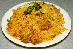 Biryani del pollo imagenes de archivo Biryani del pollo imagenes de archivo