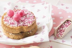 Biscoito com as bolas cor-de-rosa do anis, muisjes, deleite holandês típico quando um bebê for nascido nos Países Baixos imagem de stock Biscoito com as bolas cor-de-rosa do anis, muisjes, deleite holandês típico quando um bebê for nascido nos Países Baixos imagem de stock