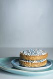 Biscotte avec les boules bleues d'anis, muisjes, tradition aux Pays-Bas pour c?l?brer la naissance d'un fils image stock Biscotte avec les boules bleues d'anis, muisjes, tradition aux Pays-Bas pour c?l?brer la naissance d'un fils image stock
