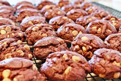 Biscuits de puce de beurre d'arachide de chocolat Photographie stock libre de droits Biscuits de puce de beurre d'arachide de chocolat Photographie stock libre de droits