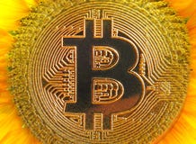 Bitcoin cryptocurrency cyfrowy słonecznik zdjęcia royalty free Bitcoin cryptocurrency cyfrowy słonecznik zdjęcia royalty free