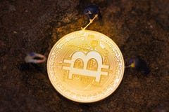 Bitcoin kopalnictwo Cryptocurrency górniczy pojęcie fotografia stock Bitcoin kopalnictwo Cryptocurrency górniczy pojęcie fotografia stock