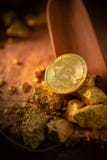 Bitcoin физические зерна Bitcoin-Cryptocurrency золота и золотого самородка владение домашнего ключа принципиальной схемы дела зо стоковые фотографии rf Bitcoin физические зерна Bitcoin-Cryptocurrency золота и золотого самородка владение домашнего ключа принципиальной схемы дела зо стоковые фотографии rf