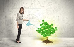 Biznesowa kobieta nawadnia narastającego zielonego dolarowego znaka drzewa Obrazy Stock Biznesowa kobieta nawadnia narastającego zielonego dolarowego znaka drzewa Obrazy Stock