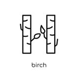Björksymbol Moderiktig modern plan linjär vektorbjörksymbol på vit royaltyfri illustrationer Björksymbol Moderiktig modern plan linjär vektorbjörksymbol på vit royaltyfri illustrationer
