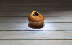 Bl?b?rmuffin eller muffin p? vit textur royaltyfri fotografi Bl?b?rmuffin eller muffin p? vit textur royaltyfri fotografi