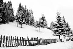Black And White Winter Royalty Free Stock Image
