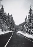 Black asphalt winding road in snowy forest stock photography Black asphalt winding road in snowy forest stock photography