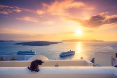 A black cat on a ledge at sunset at Fira town, with view of caldera, volcano and cruise ships, Santorini, Greece. stock image A black cat on a ledge at sunset at Fira town, with view of caldera, volcano and cruise ships, Santorini, Greece. stock image