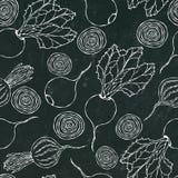 Black Chalk Board. Seamless Background of Ripe Beets. Endless Pattern of Beetroot with Top Leaves and Beet Halves. Fresh Vegetable stock illustration Black Chalk Board. Seamless Background of Ripe Beets. Endless Pattern of Beetroot with Top Leaves and Beet Halves. Fresh Vegetable stock illustration