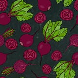Black Chalk Board. Seamless Background of Ripe Beets. Endless Pattern of Beetroot with Top Leaves and Beet Halves. Fresh Vegetable stock illustration Black Chalk Board. Seamless Background of Ripe Beets. Endless Pattern of Beetroot with Top Leaves and Beet Halves. Fresh Vegetable stock illustration