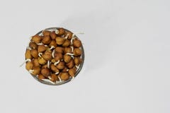 Black chickpeas or bengal gram sprouts on a bowl. stock photography Black chickpeas or bengal gram sprouts on a bowl. stock photography