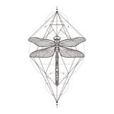 Black dragonfly Aeschna Viridls, isolated on white background. Tattoo sketch. Mystical symbols and insects. Alchemy
