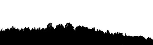 Download Black Forest Silhouette. Isolated On White Background ...