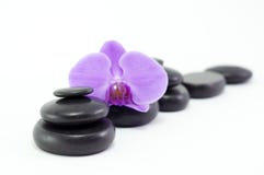 Black massage stones with purple flower royalty free stock images Black massage stones with purple flower royalty free stock images