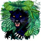 Black Panther Jungle Spirit Coming Out From The Jungle Vector Illustration Stock Photography