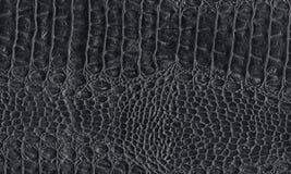 Black reptile natural leather texture. Snake, crocodile or dragon skin pattern. Element for design. Medieval, exotic or fantasy background stock photography Black reptile natural leather texture. Snake, crocodile or dragon skin pattern. Element for design. Medieval, exotic or fantasy background stock photography