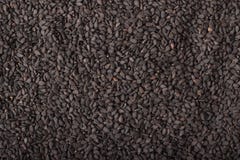 Black sesame seeds spice as a background, natural seasoning text royalty free stock photo Black sesame seeds spice as a background, natural seasoning text royalty free stock photo