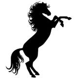 black-silhouette-nice-horse-54605536.jpg