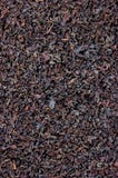 Black Tea Leaf Texture Closeup Background, Large Detailed Textured Vertical Macro Closeup Pattern stock photos Black Tea Leaf Texture Closeup Background, Large Detailed Textured Vertical Macro Closeup Pattern stock photos
