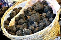 Black truffle market in Italy