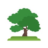Black Walnut tree icon vector sign and symbol isolated on white stock illustration Black Walnut tree icon vector sign and symbol isolated on white stock illustration