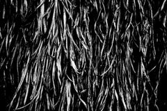 Black and white color texture pattern abstract background can be use as wall paper screen saver brochure cover page or for present stock image Black and white color texture pattern abstract background can be use as wall paper screen saver brochure cover page or for present stock image