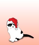 Black and white kitten with gray eyes in a red hat vector illustration Black and white kitten with gray eyes in a red hat vector illustration