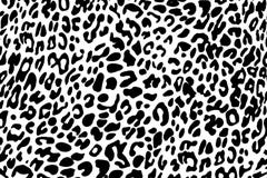 Black and white leopard skin pattern