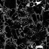 Black white monochrome snow snowflakes endless repeat royalty free illustration Black white monochrome snow snowflakes endless repeat royalty free illustration