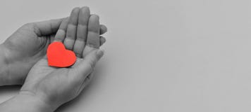 Black and white photo with women`s hands holding a colored red heart. Banner. Fragment of a women`s hands