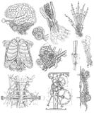 Black and white set with body parts, mechanical parts and devices vector illustration Black and white set with body parts, mechanical parts and devices vector illustration