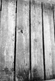 Wood texture royalty free stock photos Wood texture royalty free stock photos