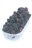 Blackberry-de fruitdoos isoleerde wit achtergrondvoedsel heerlijk Sao Paulo Brazil stock afbeelding Blackberry-de fruitdoos isoleerde wit achtergrondvoedsel heerlijk Sao Paulo Brazil stock afbeelding