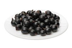 blackcurrant imagen de archivo blackcurrant imagen de archivo