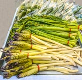 Blanched Siam Tulip Cucuma Sparganifolia, Cucumber and Chinese Flowering Cabbage Bog Choy stock photography Blanched Siam Tulip Cucuma Sparganifolia, Cucumber and Chinese Flowering Cabbage Bog Choy stock photography
